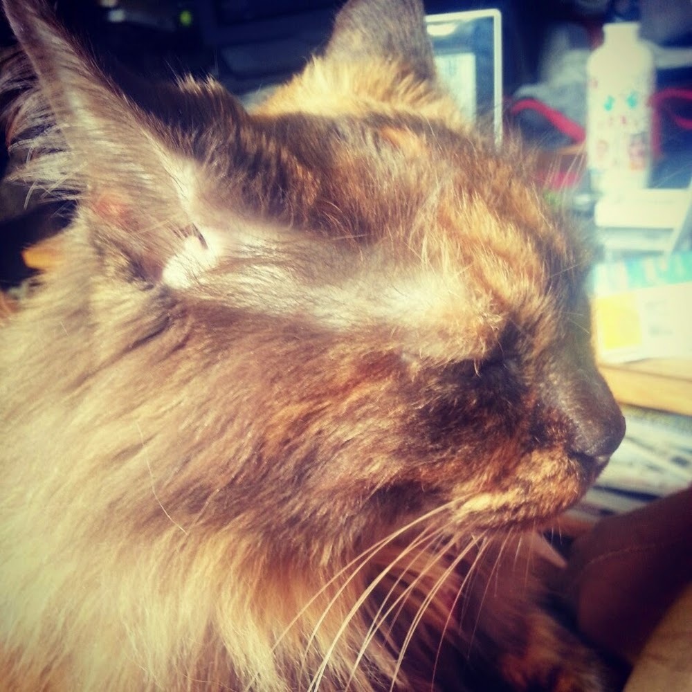 Meet your Posher, Claudine